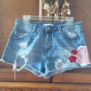 Zara Embroidered Distress/Destroy Denim Shorts